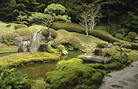 光臺院庭園の写真