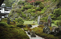 正智院庭園の写真