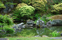 天徳院庭園の写真